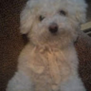 Meet your Posher, Maureen